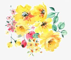 花蕊视频成人版,探索成人娱乐领域的全新体验