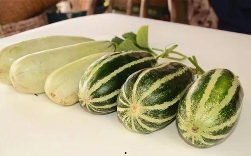 晨曦网红吃瓜链接视频,揭秘娱乐圈幕后真相