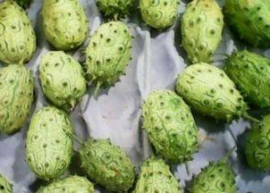 刺角瓜怎么吃,探索美味与营养的完美结合