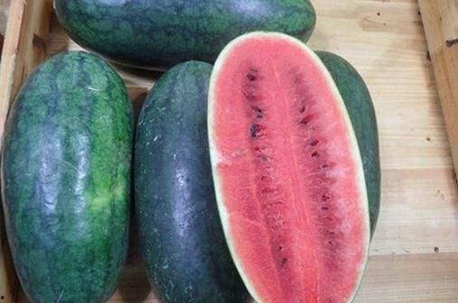 海外每日大赛吃瓜黑料,揭秘选手背后的吃瓜黑料