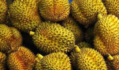 榴莲成人福利免费视频