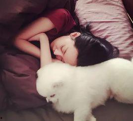 日韩睡的地铺有取暖吗视频,温暖冬日好眠体验