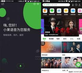 亚洲tv视频,探索多元文化，共赏视听盛宴